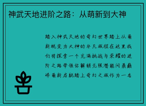 神武天地进阶之路：从萌新到大神