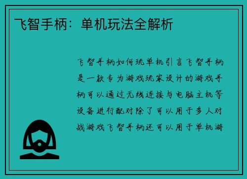 飞智手柄：单机玩法全解析